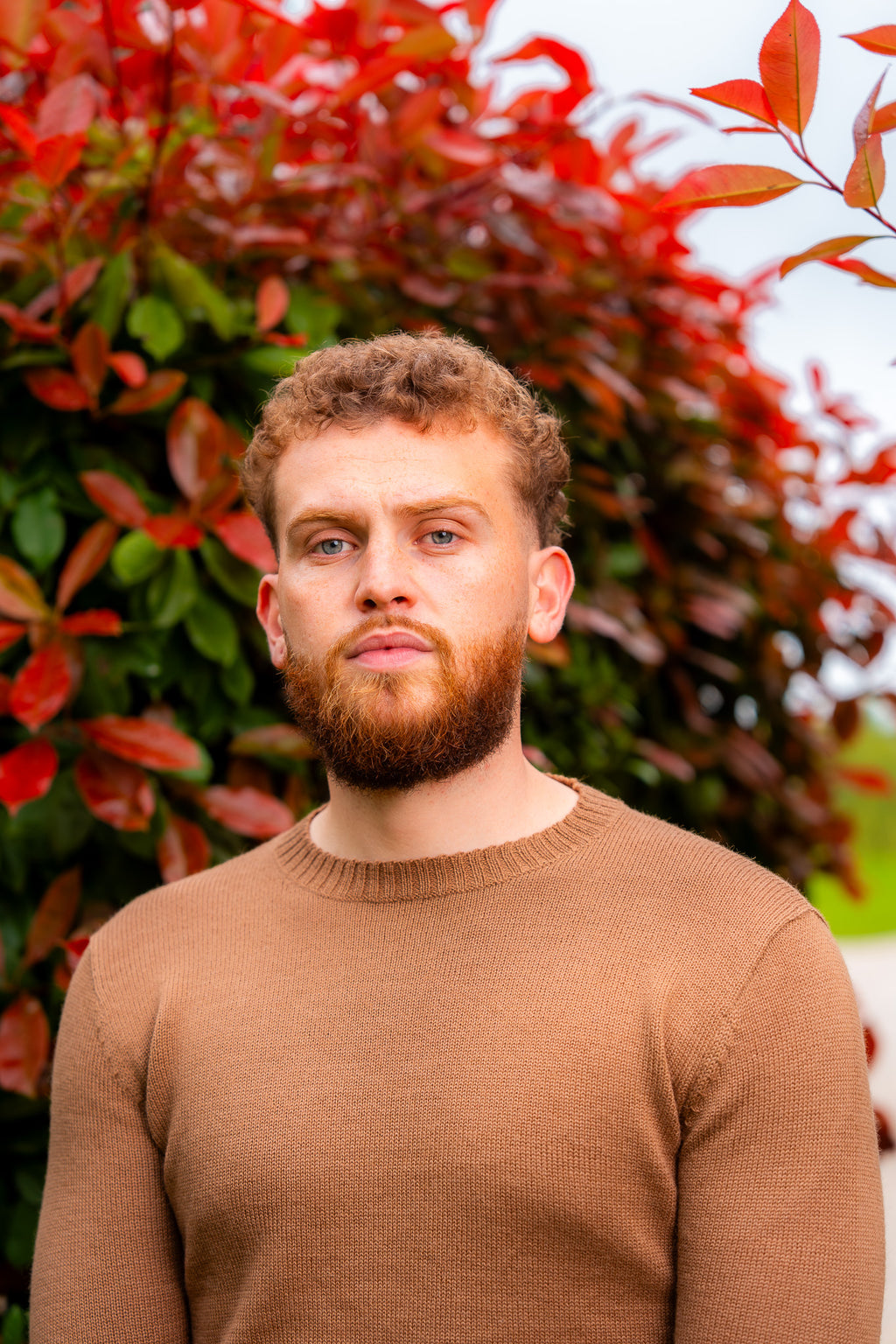 Pull en laine d'alpaga