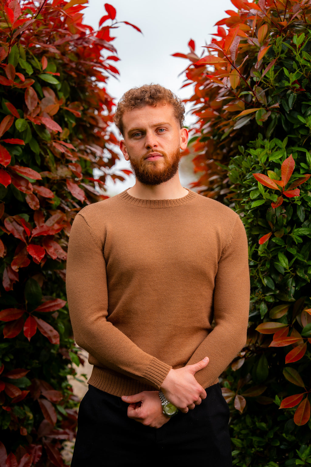 Pull en laine d'alpaga